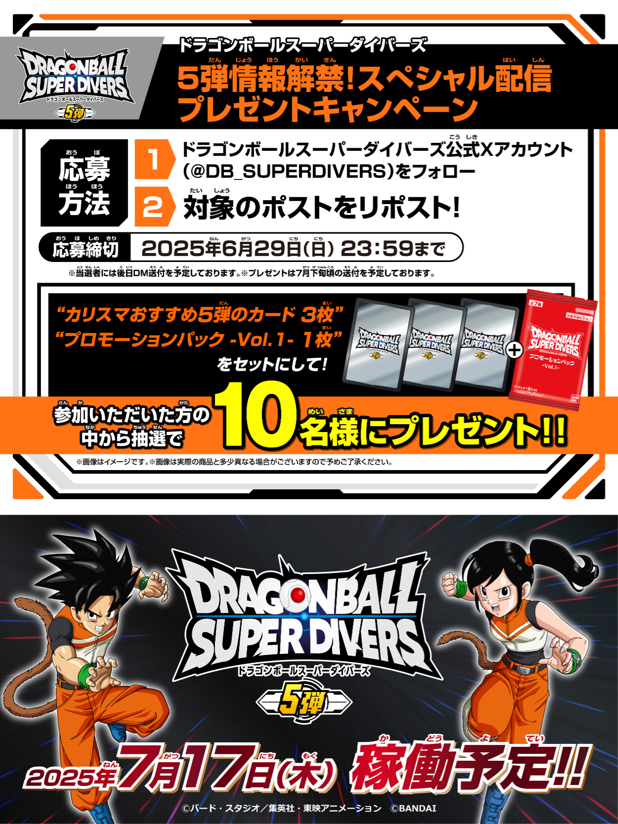ドラゴンボール神ベスト　特典応募者　抽選品 アニメ「ドラゴンボール」放送30周年記念 ドラゴンボール 神