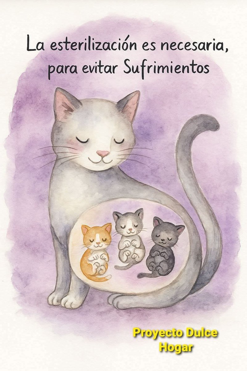 🐆chettos y 🐅socks McFly Pachecos Inc. (@alinenorena) on Twitter photo 