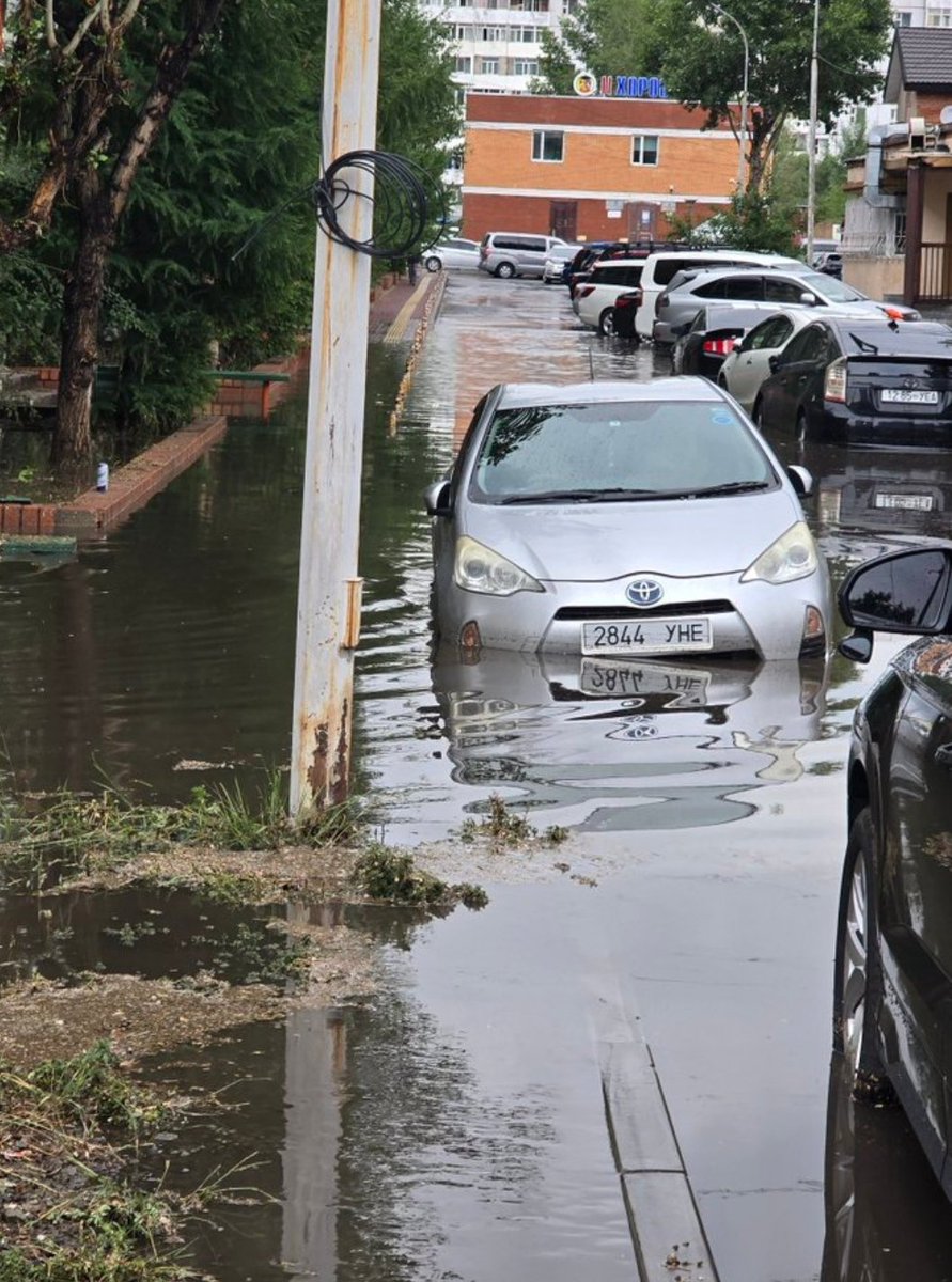 Төв аймагт 1 зам тавижээ. Хажуудаа ус зайлуулах нүхтэй боржуур суулгачихсан  байна лээ. Хамгийн панаалтай нь ус урсгах бетонон сувагчлаа суулгаагүй газраар 1 хөглөрөөд хэвтэж байсан.