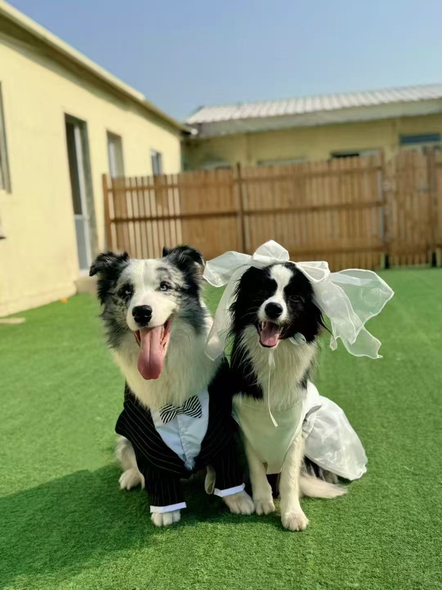 let's bless this couple❤️