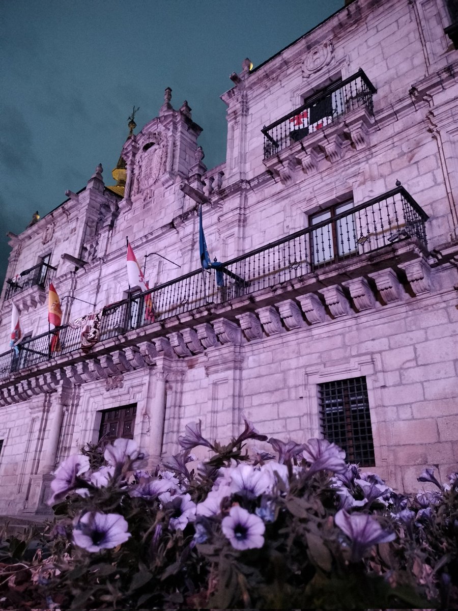 💜Hoy conmemoramos el Día Internacional del Síndrome de #Dravet.
Iluminar es visibilizar. Visibilizar es avanzar. 
Un gesto simbólico para mostrar nuestra solidaridad con las familias afectadas por esta grave enfermedad, crear conciencia y apoyar la investigación🦋