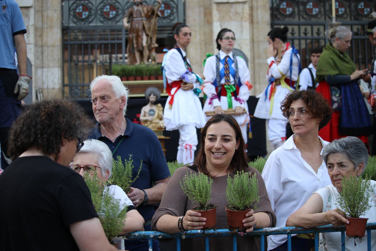 PalenciaAyto's tweet photo. El Ayuntamiento reparte en las plazas Mayor y de San Juanillo 3.000 plantas de #tomillo adquiridas a Villa San José.  Cientos de palentinos acuden a esta tradicional cita víspera de San Juan, copatrono de la capital. https://t.co/uuAoMeLNqm