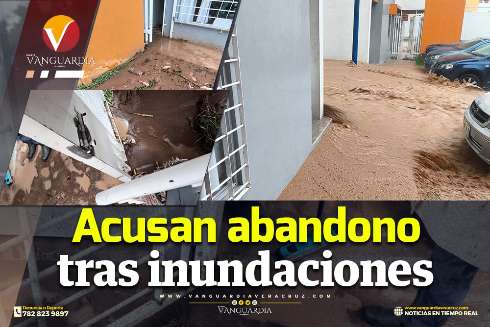 Vanguardia de Veracruz tweet media