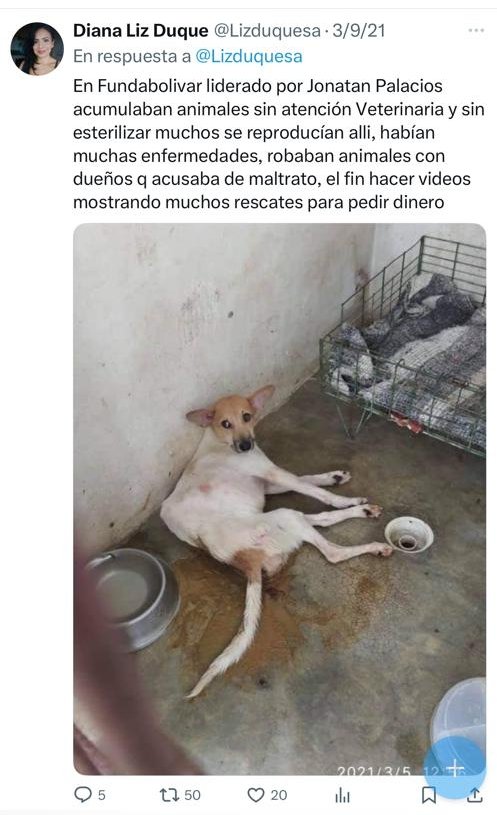 4F_Mamba's tweet photo. Epa @JPActivista te acuerdas cuando en FundaBolívar maltratabas los animales. 

Hasta la bióloga Diana Duque te denunció. 

Algún día vas a pagar todas tus  fechorías malandrín, por eso fue que te fuiste de Venezuela por maltratar los animales y por corrupto. https://t.co/oNnCXbCQsa
