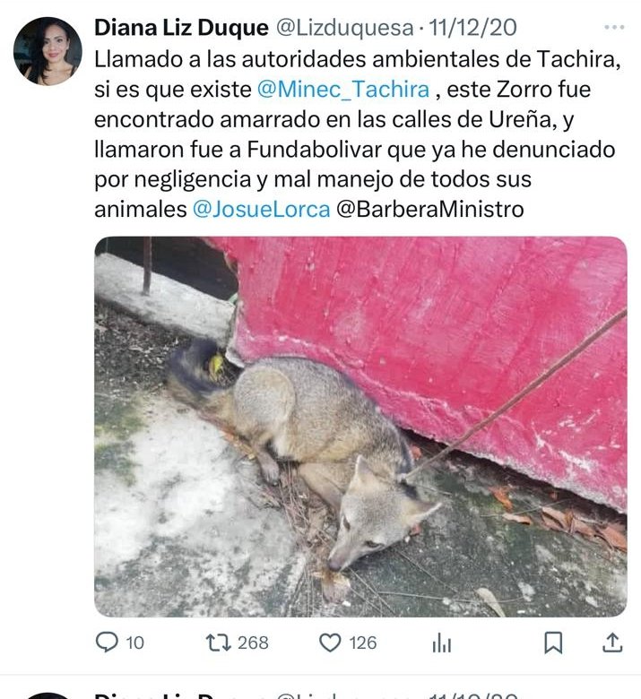 Epa <a href="/JPActivista/">Jonatan Palacios</a> te acuerdas cuando en FundaBolívar maltratabas los animales. 

Hasta la bióloga Diana Duque te denunció. 

Algún día vas a pagar todas tus  fechorías malandrín, por eso fue que te fuiste de Venezuela por maltratar los animales y por corrupto.