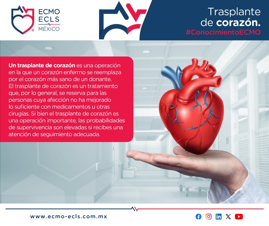 EcmoMexico's tweet photo. #ConocimientoECMO
Trasplante de corazón.
#ECMO_ECLS_México #SalvandoVidas #TerapiaECMO #Chihuahua #Gdl #CDMX #CuidadosIntensivos #TrasplanteDeCorazón
Urgencias, atención y traslados 24/7
☎ GDL 33 2332 6342
☎ CDMX 55 7662 3520
☎ Chihuahua 61 4529 7585
✉ info@ecmo-ecls.com.mx https://t.co/QLBOkuEfYo
