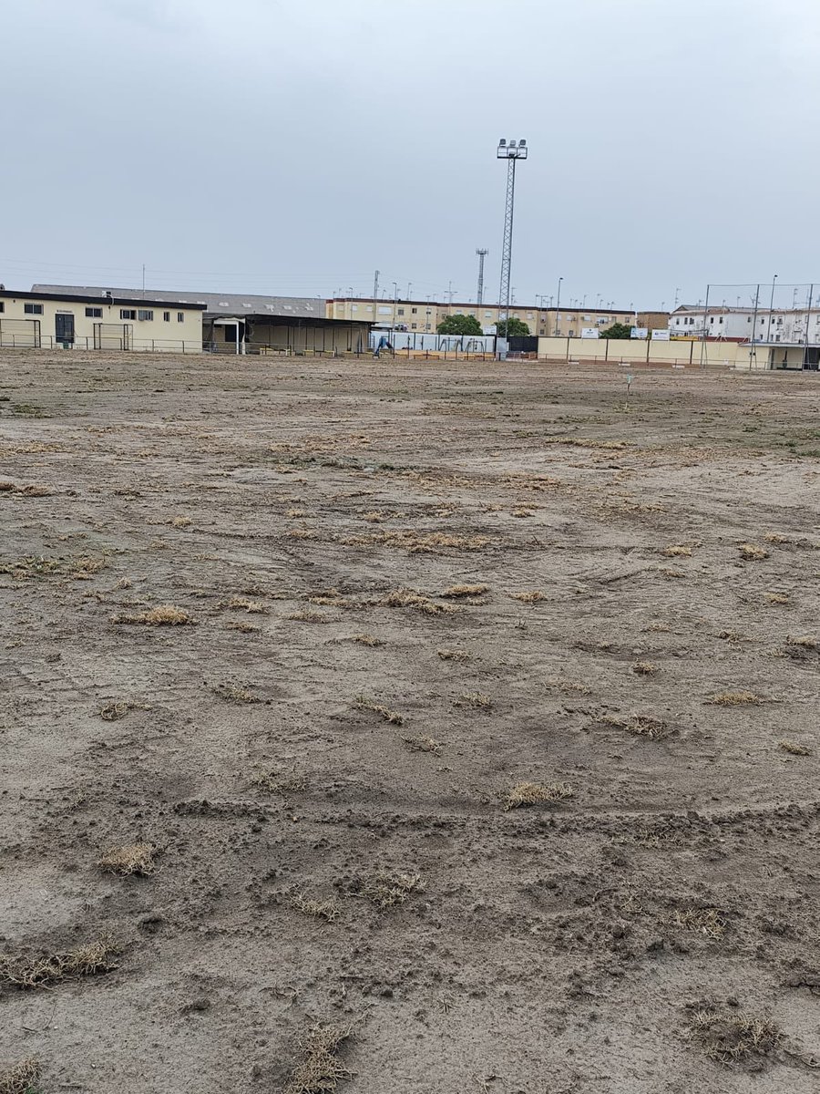 VILLAFRANCOCF's tweet photo. ¡Gracias al Ayuntamiento de Isla Mayor por su colaboración con nuestro club!

Gracias a nuestro ayuntamiento, volveremos a tener césped natural en nuestro pueblo.

#SomosUnaGranFamilia💛🖤 https://t.co/tZDCfTLfOF