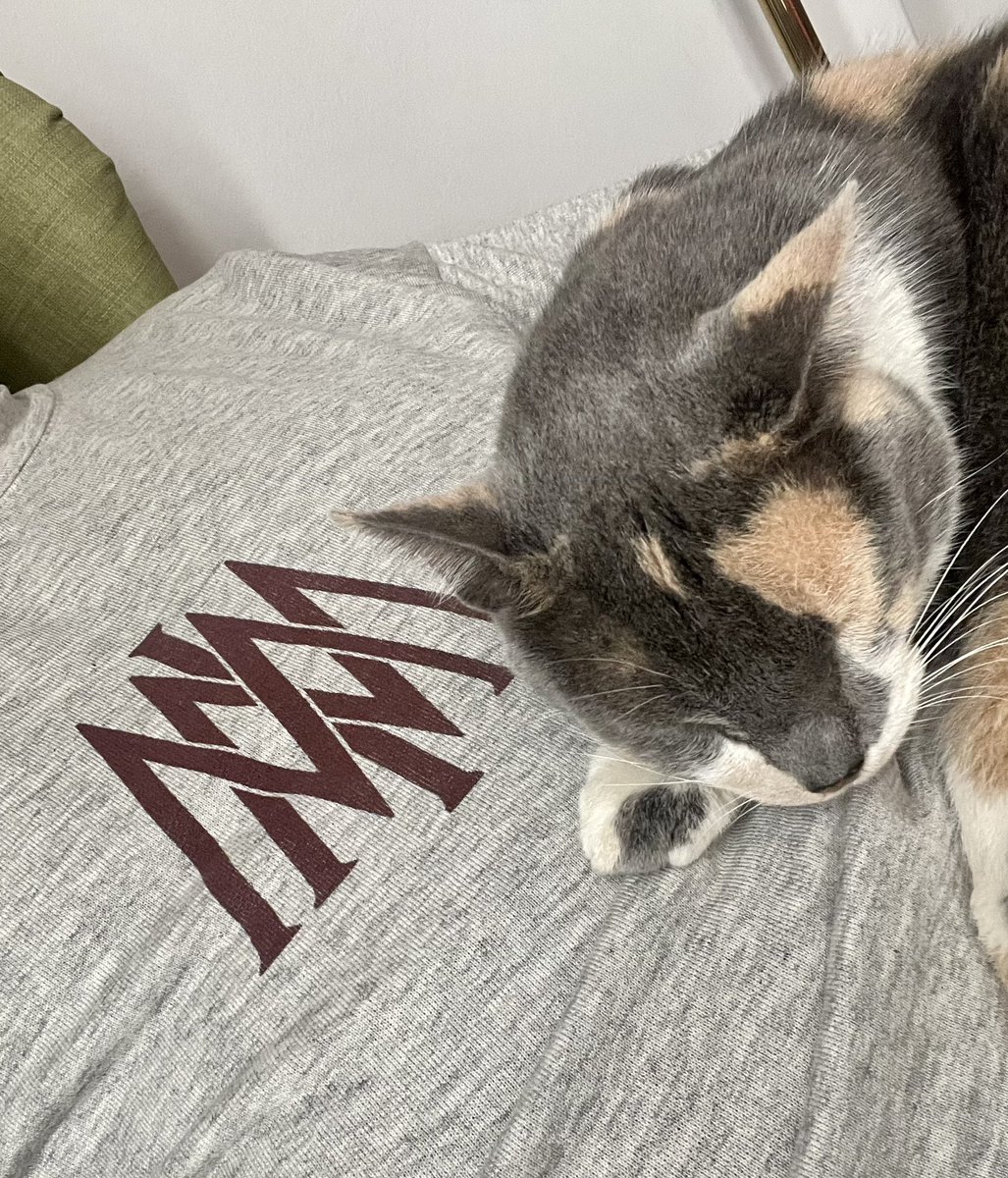 Yo muy resfriado, pero bien acompañado.