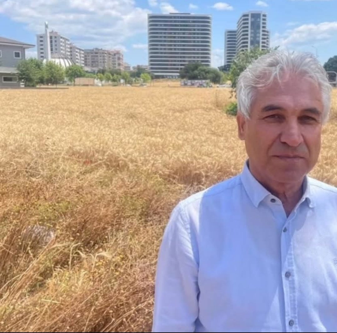 Gökdelenlerin Arasında Buğday: 

Bursa’da bir adam var.
Etrafı gökdelenlerle çevrilmiş. Betonun tam ortasında, milyonlarca liralık tekliflere karşılık vermemiş.
O ne yapmış biliyor musunuz?

Buğday ekmiş.

Evet, 150 milyon TL teklif edilen arsasına buğday eken bir adamdan