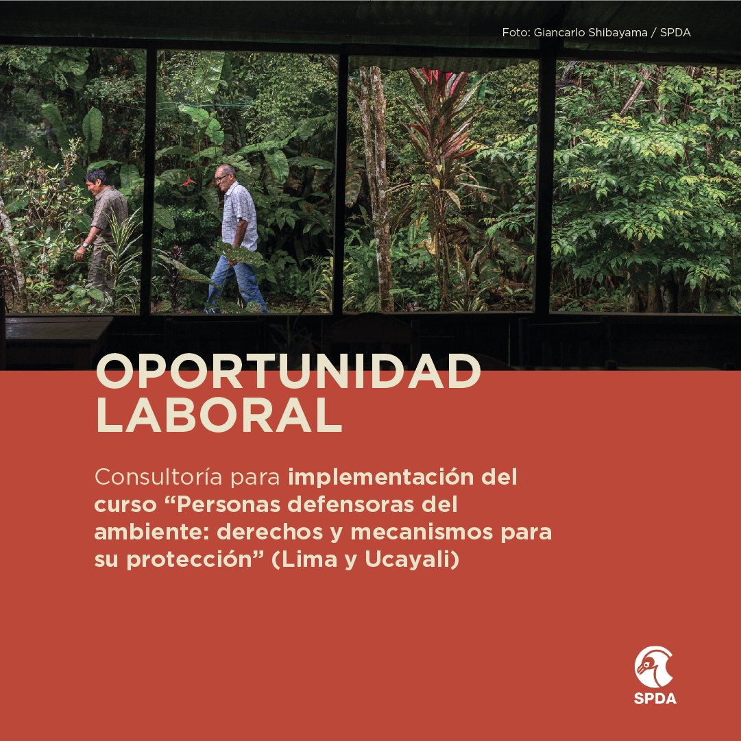 👩🏽‍💻👨🏽‍💻 #OportunidadLaboral | Buscamos contratar una institución educativa o centro de investigación para implementar un curso sobre derechos y protección de personas defensoras del ambiente en Lima y Ucayali.
➡ Postulaciones hasta el 30/06/2025
➡ TDR: bit.ly/45xBPl3