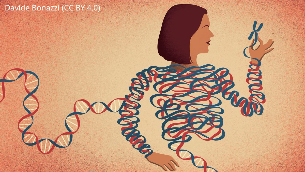 Reading the DNA of telomeres

Experiments with tools designed to detect DNA damage reveal unique and conserved features of telomeres in cancer cells.
elifesciences.org/articles/10764…