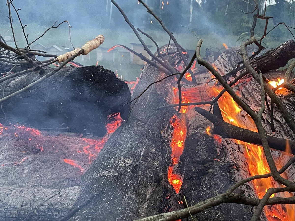 🇪🇪 Võidupüha paraad koos liitlastega Pärnu peaväljakul ning lahe kohal taevas. Ja õhtune jaanituli, koos saapaviske, vägikaika ja toki otsas küpsetatud kaneelisaiaga. #elaguEesti #WeAreNATO #StandWithUkraine