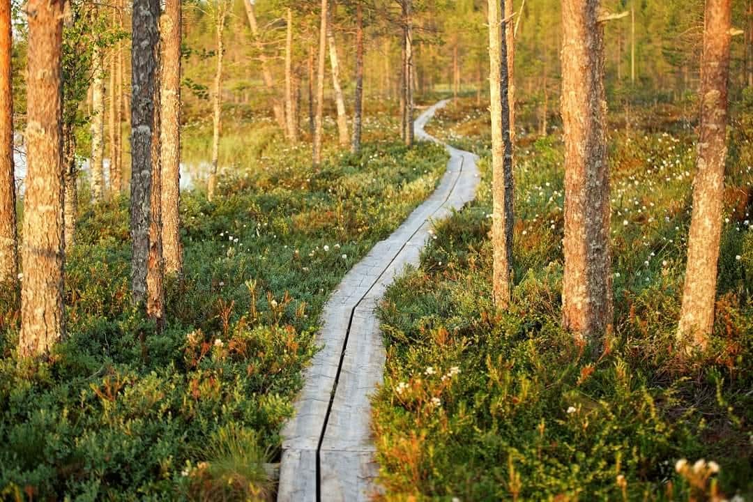 Ne kesäyöt..#summernights
#Finland