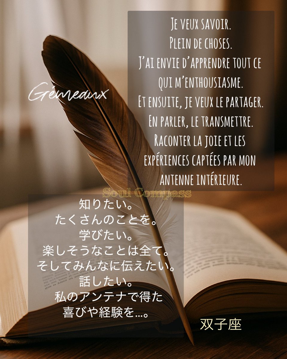 SoulCompass111's tweet photo. Spiritual Healer &amp; Soul Guide ✧  
Astrology • Healing • Soul journey
Soul Compass – Channeling &amp; Light

#Gemini
#SoulMessage
#AstrologyWithSoul
#SoulCompass
#ホロスコープ 
#gémeaux 
#双子座
#占星術
#astrology 
#astrologie 
#Horoscope https://t.co/4xhV5ZV9SE