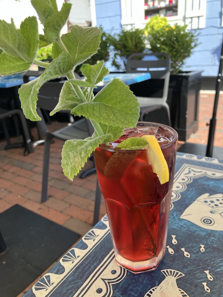 petegenovese's tweet image. Hibiscus lemonade, Louisa’s, Cape May. I may down this in one gulp.And yes I’m eating outside. Pete loves the heat