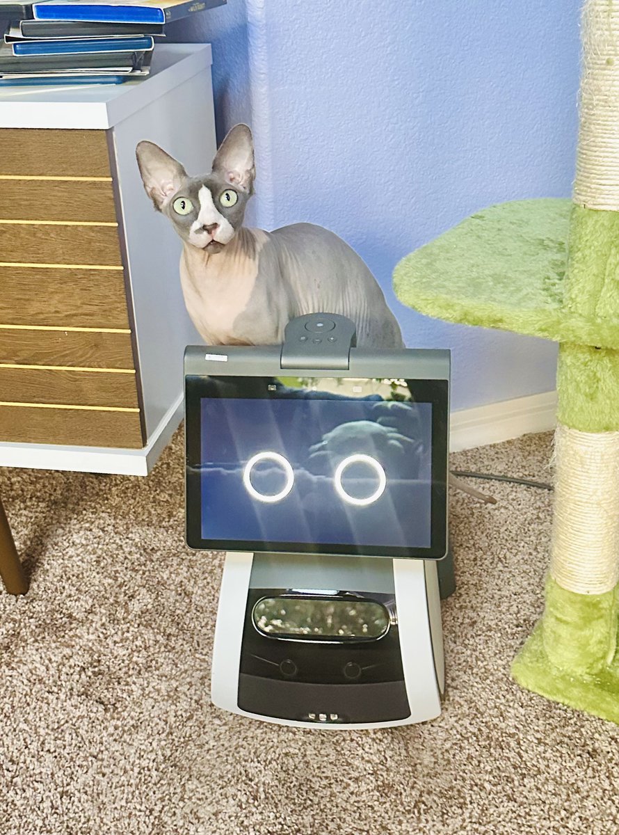 Sometimes what one expects to find in a science fiction writer's house is exactly what one expects to find in a science fiction writer's house. 🤖🐱