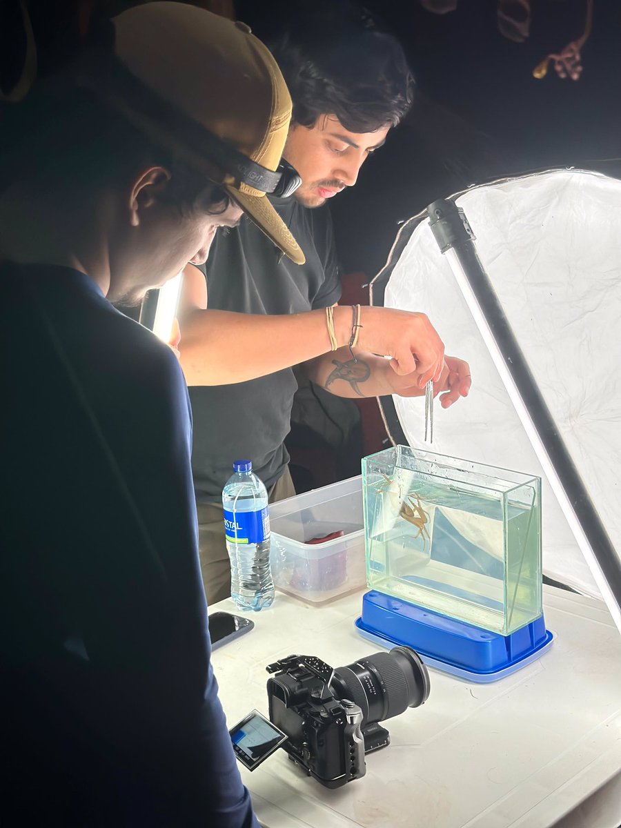 Carlos Lasso tweet media