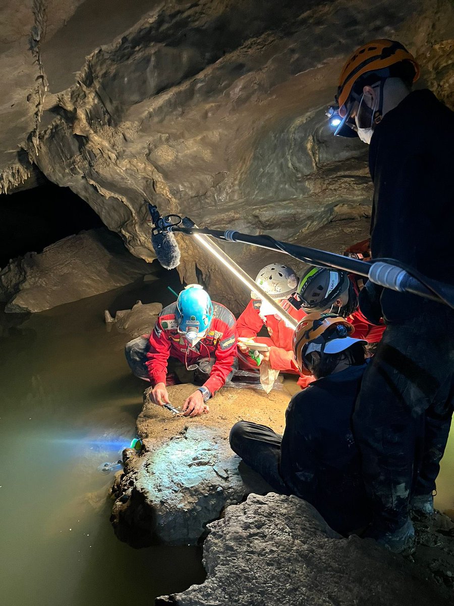 Carlos Lasso tweet media