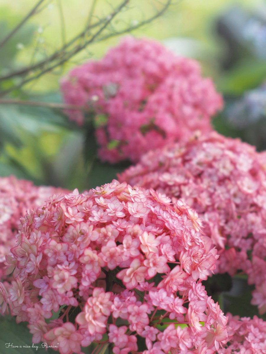 𓂃𓂂𓍯*.ﾟ

     🐰＊.ᵍᵒᵒᵈ ᵐᵒʳᐢⁱᐢᵍ🎀⋆˙⟡

#優しい心で過ごせますように