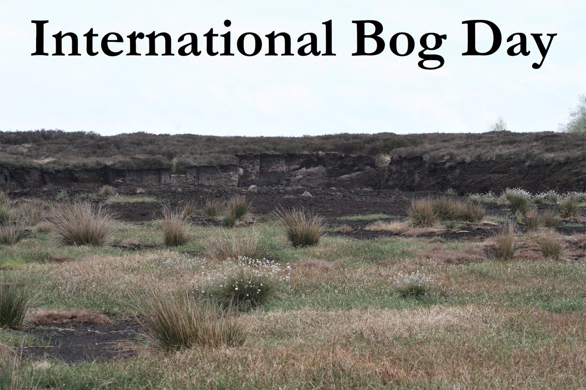 Newbridge Tidy Towns Association #DroicheadNua (@ttnewbridge) on Twitter photo Today is #InternationalBogDay
Our bogs are home to a variety of species of birds, insects, animals & plants.
Let us celebrate & protect the beauty & brilliance of our remaining ancient bogs, fens & peatlands.
<a href="/PeatlandConserv/">PeatlandConservation</a> Today is #InternationalBogDay
Our bogs are home to a variety of species of birds, insects, animals & plants.
Let us celebrate & protect the beauty & brilliance of our remaining ancient bogs, fens & peatlands.
<a href="/PeatlandConserv/">PeatlandConservation</a>