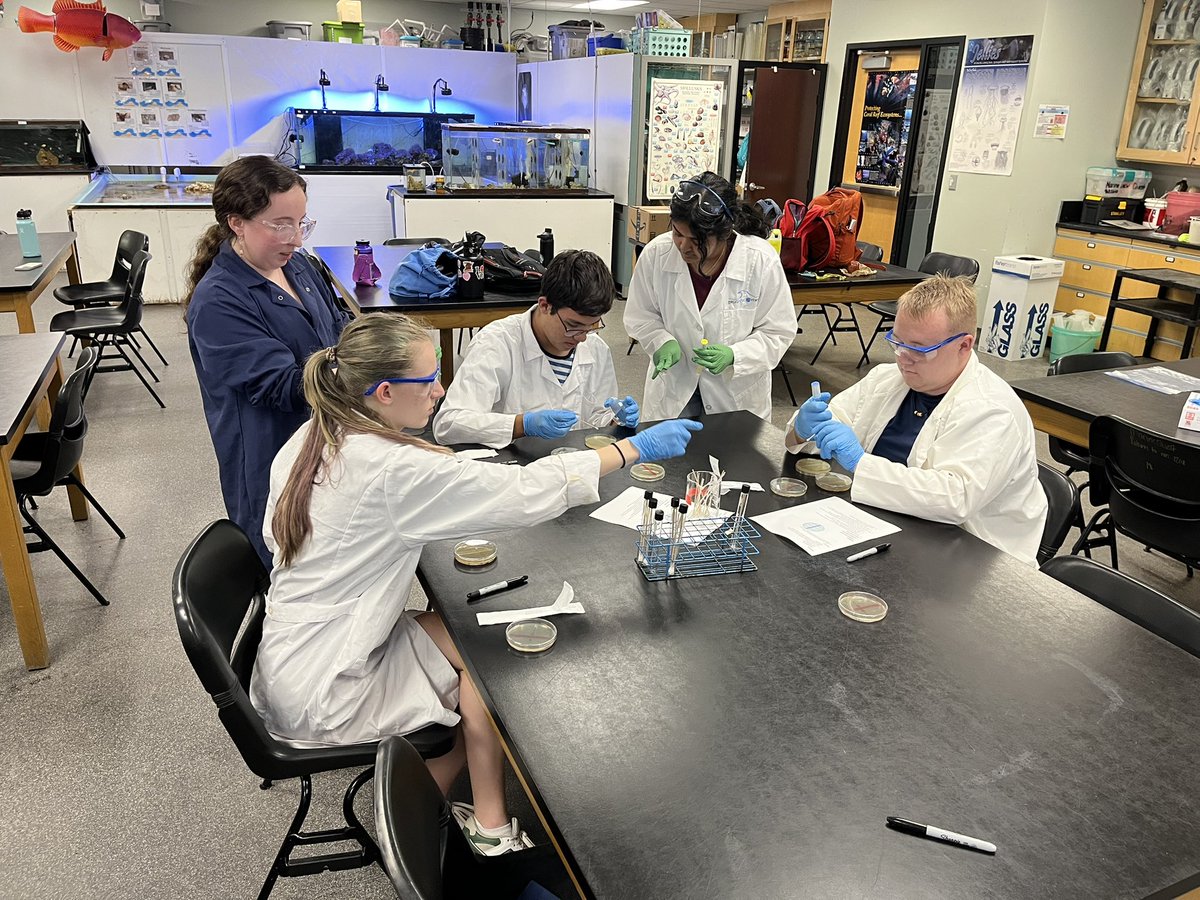 Wendy_Strangman tweet media