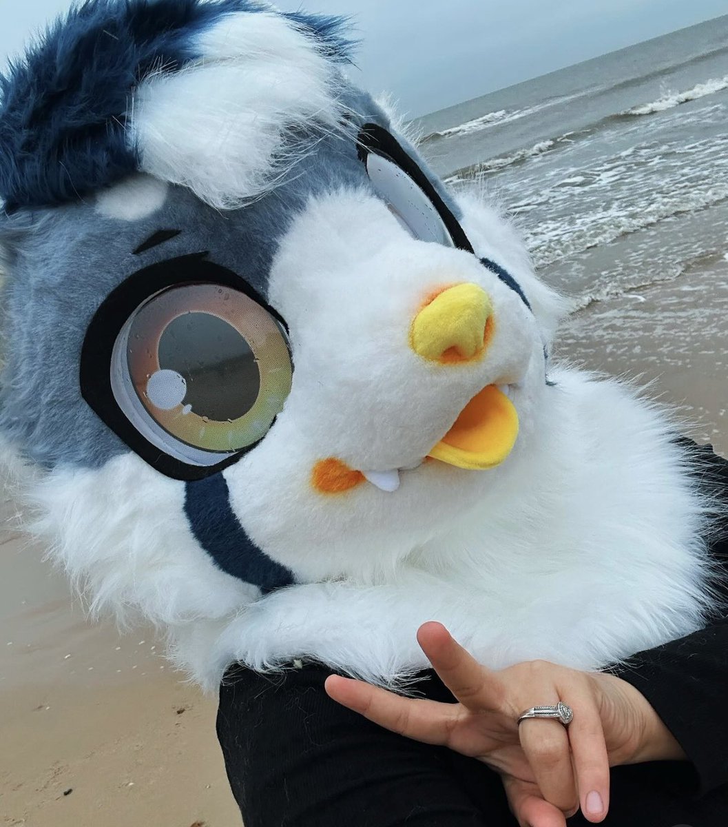 Red panda on the beach 🏖️🌊

Fursuit by: <a href="/WenYu_RongRong/">韫玉→Commissioned Open</a> 💕