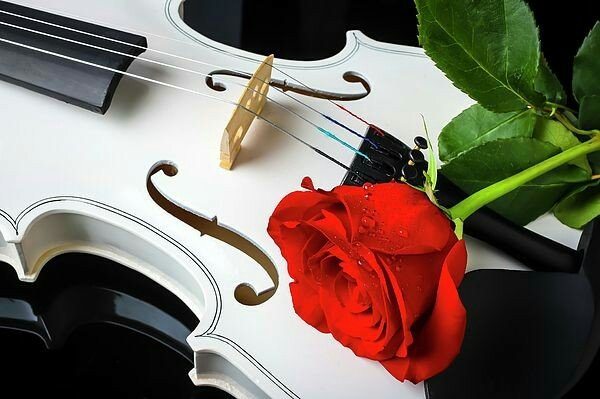 No dejes de hacer lo que quieras,
Cumplí con tus límites de la vida y verás que los resultados serán dados días trás días..❤️