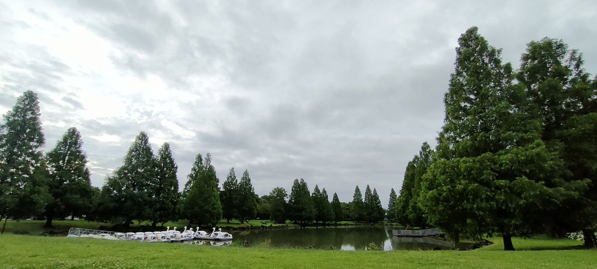 montaryota's tweet photo. おはようございます！🐸

梅雨明け後　気温下がって　ひと休み

今日明日は少し楽かな😉
#川柳　#朝活　#朝散歩　#ウォーキング　#ジョギング　#ランニング　#筋トレ　#ダイエット https://t.co/dQyqVW4yZf