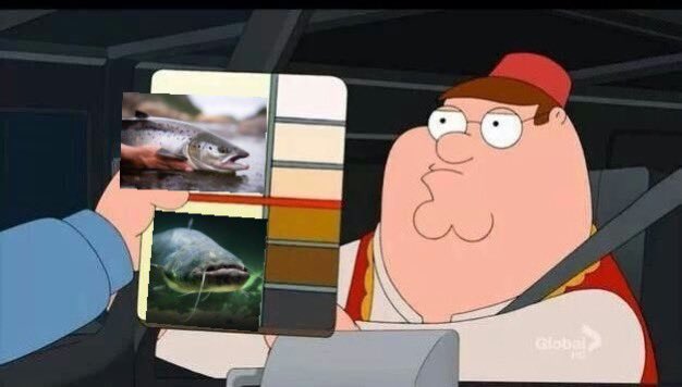 Wir wissen alle, dass wenn der Wels ein Lachs gewesen wäre, die Story anders ausgegangen wäre.