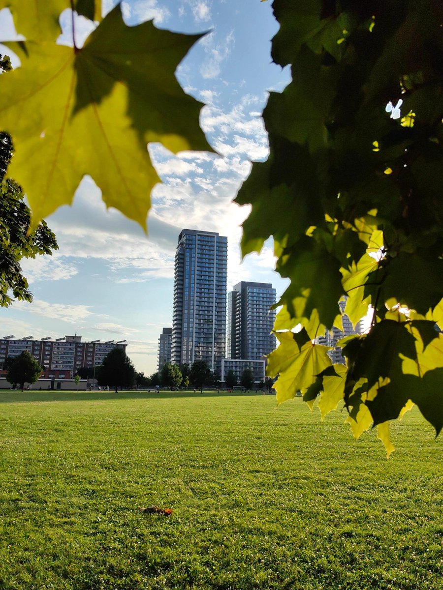 When you walk through wild trails and breathe the clean air you realize nature is not just scenery. In Canada it is a living blessing. Seeing it with your own eyes is pure joy. 🥾