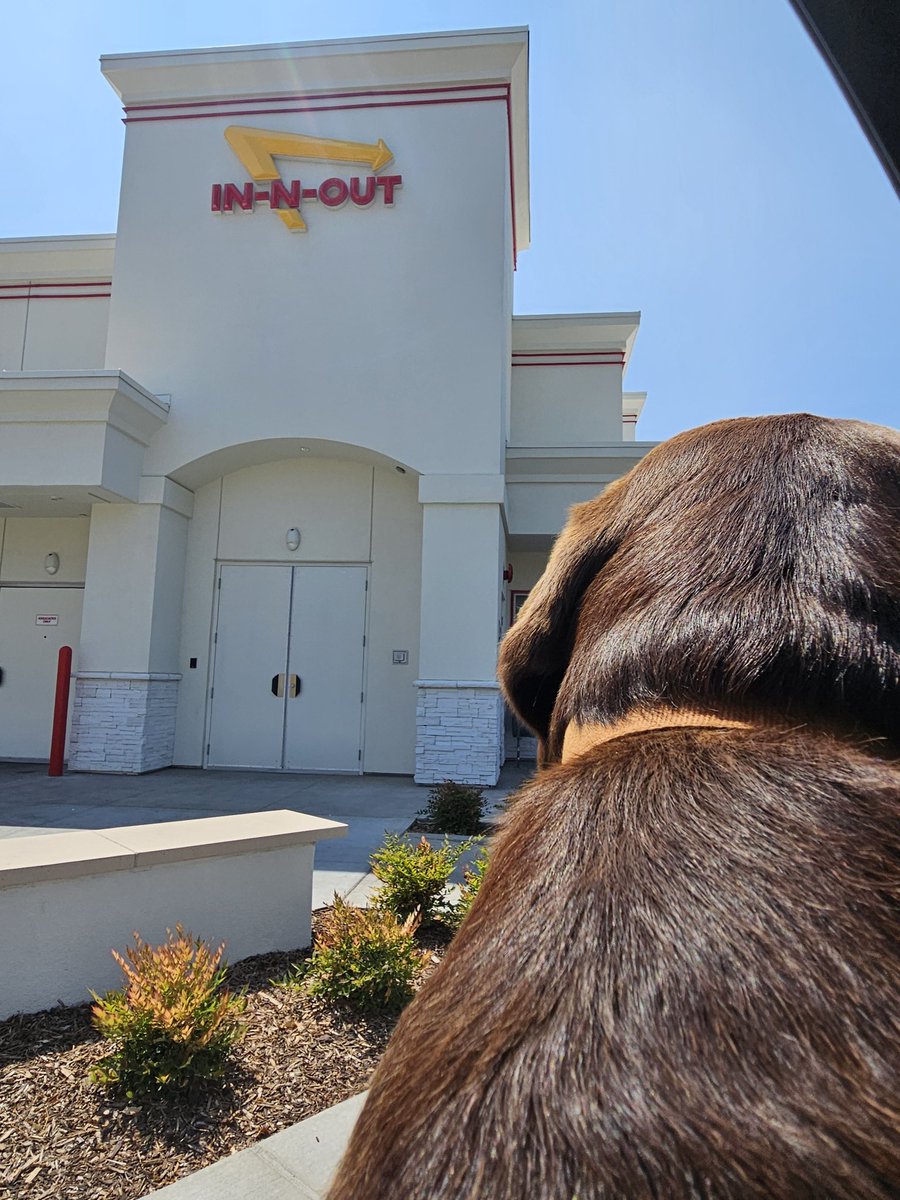 idahodent's tweet photo. Meridian has an In N Out? Whoa I'm going to try it! https://t.co/B8zOd5gtU5