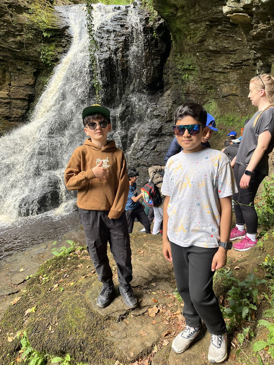 Wingrove Primary tweet media