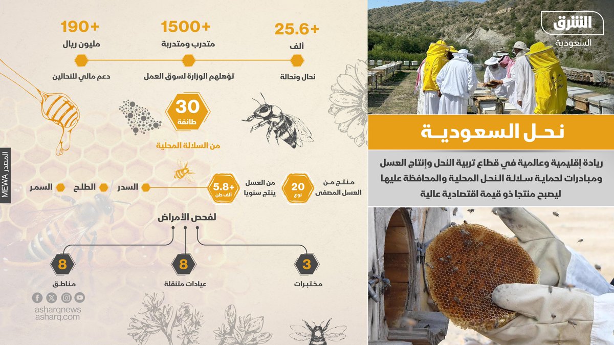 نحل السعودية.. ريادة إقليمة وعالمية ومبادرات لحماية السلالات المحلية
#الشرق_السعودية