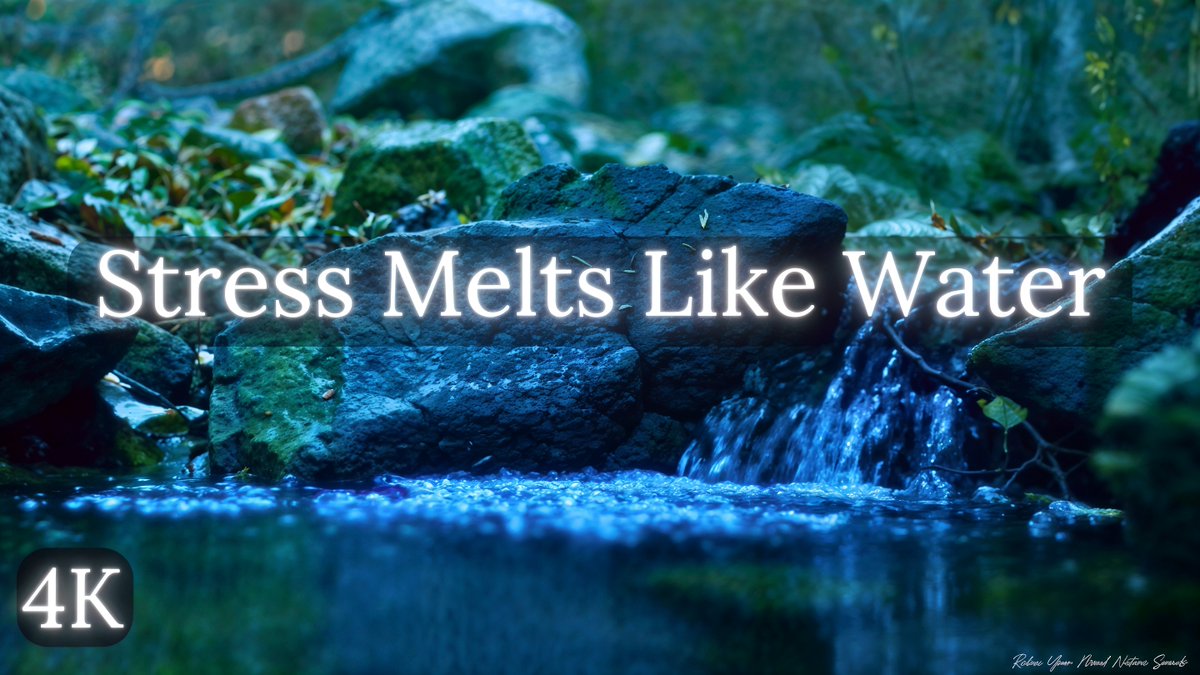 RelaxYourMindNS's tweet photo. Flowing Stream for Sleep, Meditation & Stress Relief
👉https://t.co/8NsbFc6fdk
#midnightwatersounds,#meditationwatersounds,#stressreliefnaturesounds,#nighttimestreamambience,#insomniareliefsounds,#gentlewateroverrocks,#deepsleepsounds,#2hournaturesounds,#calmingstreamsounds https://t.co/fzGYCEcn3G