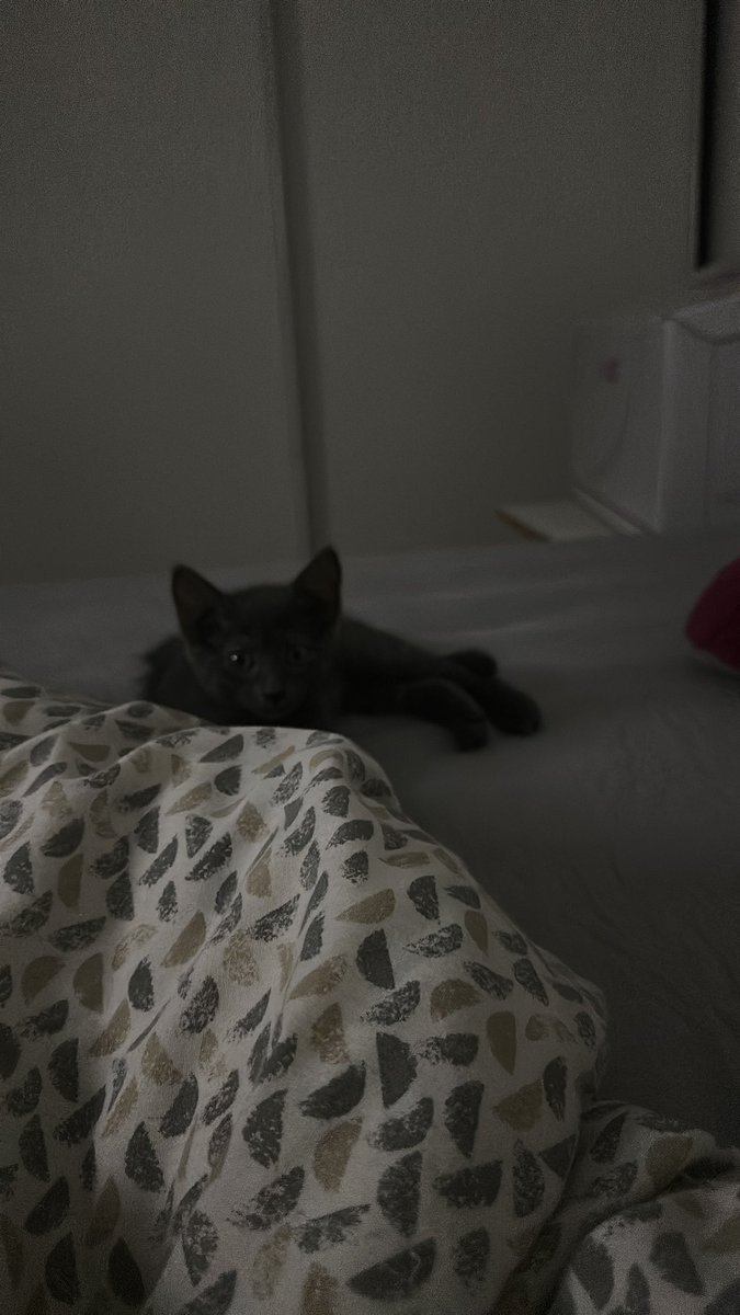 MARYNOUUUU 🌸 tweet media