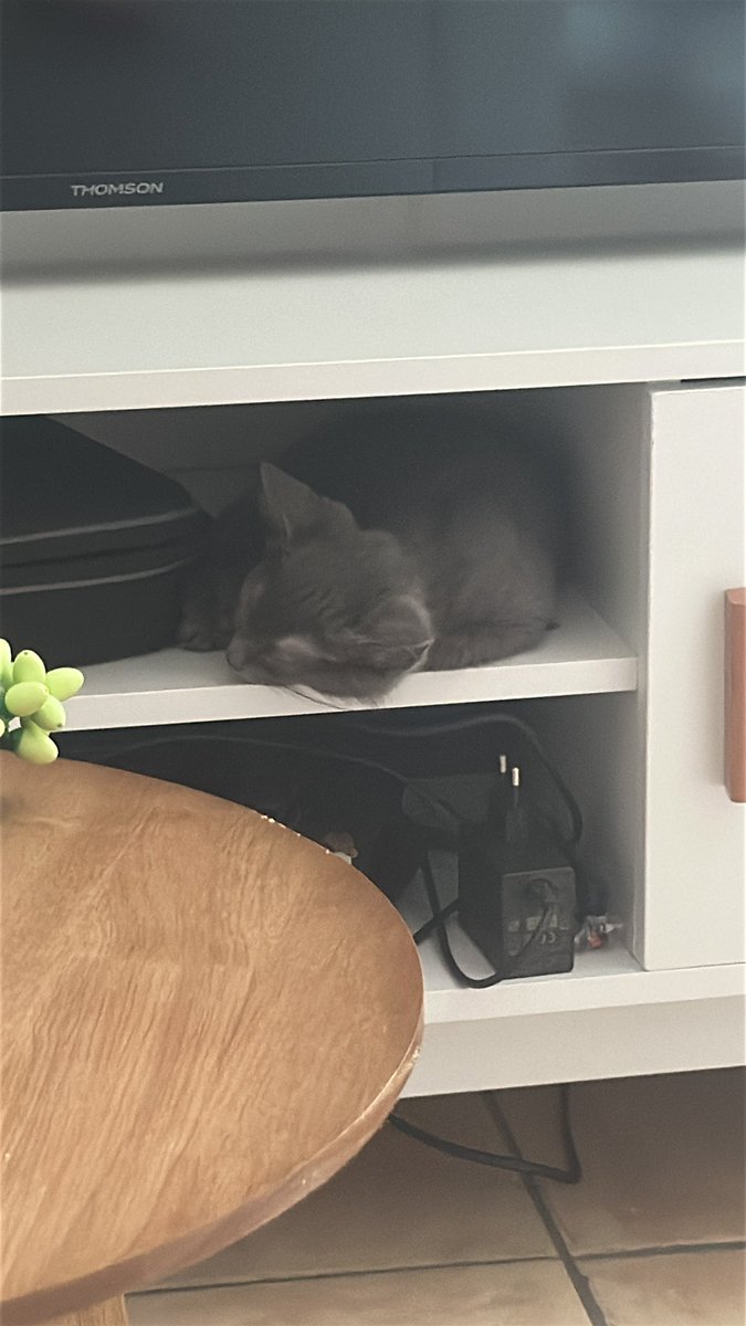 MARYNOUUUU 🌸 tweet media