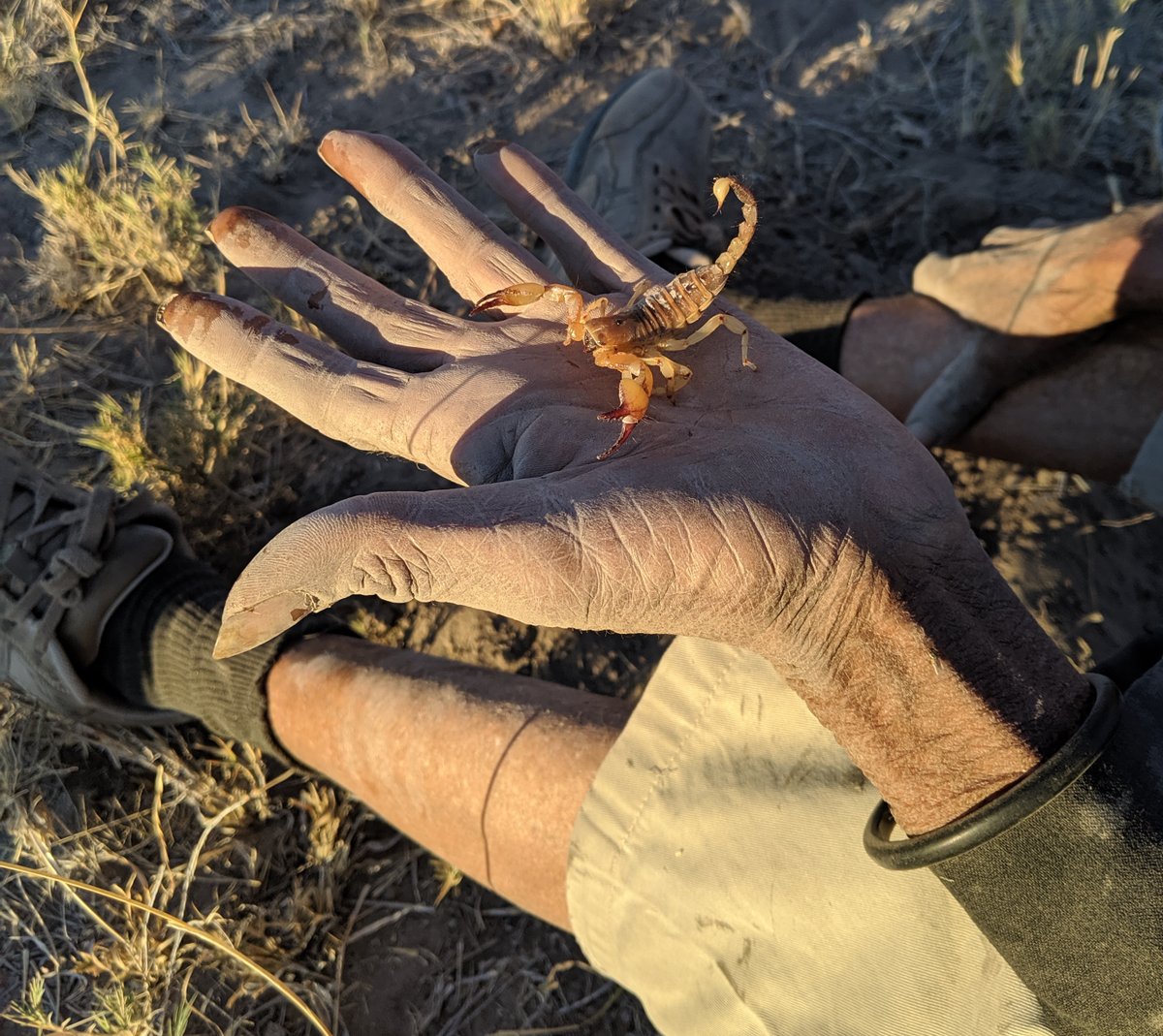 That's a funny-looking friend!