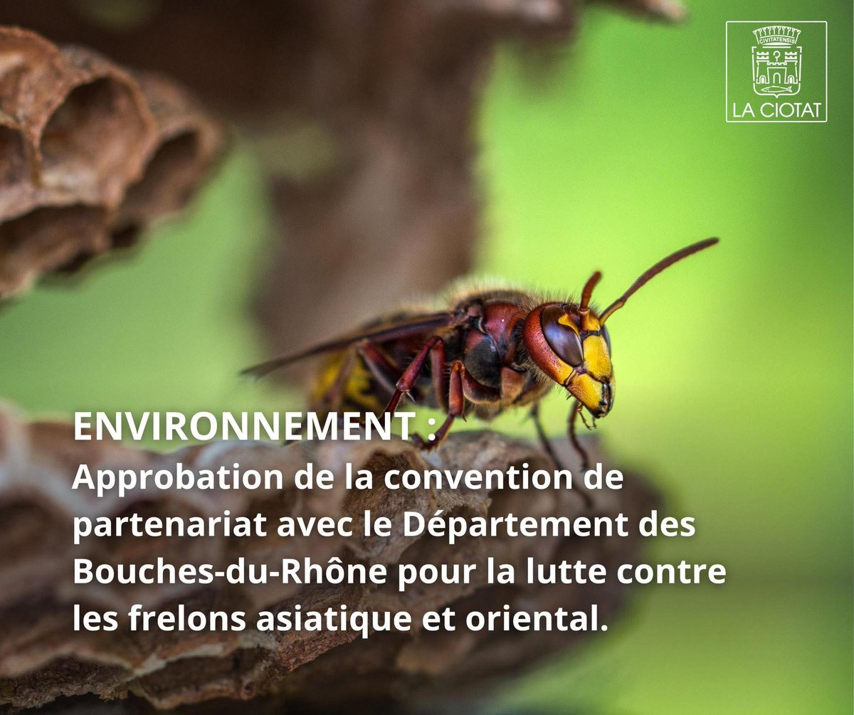 Ville de La Ciotat (@villedelaciotat) on Twitter photo 