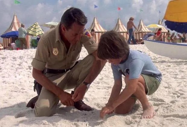plasticwerewolf's tweet image. Sean Brody was the most emotionally intelligent man on Amity Island.