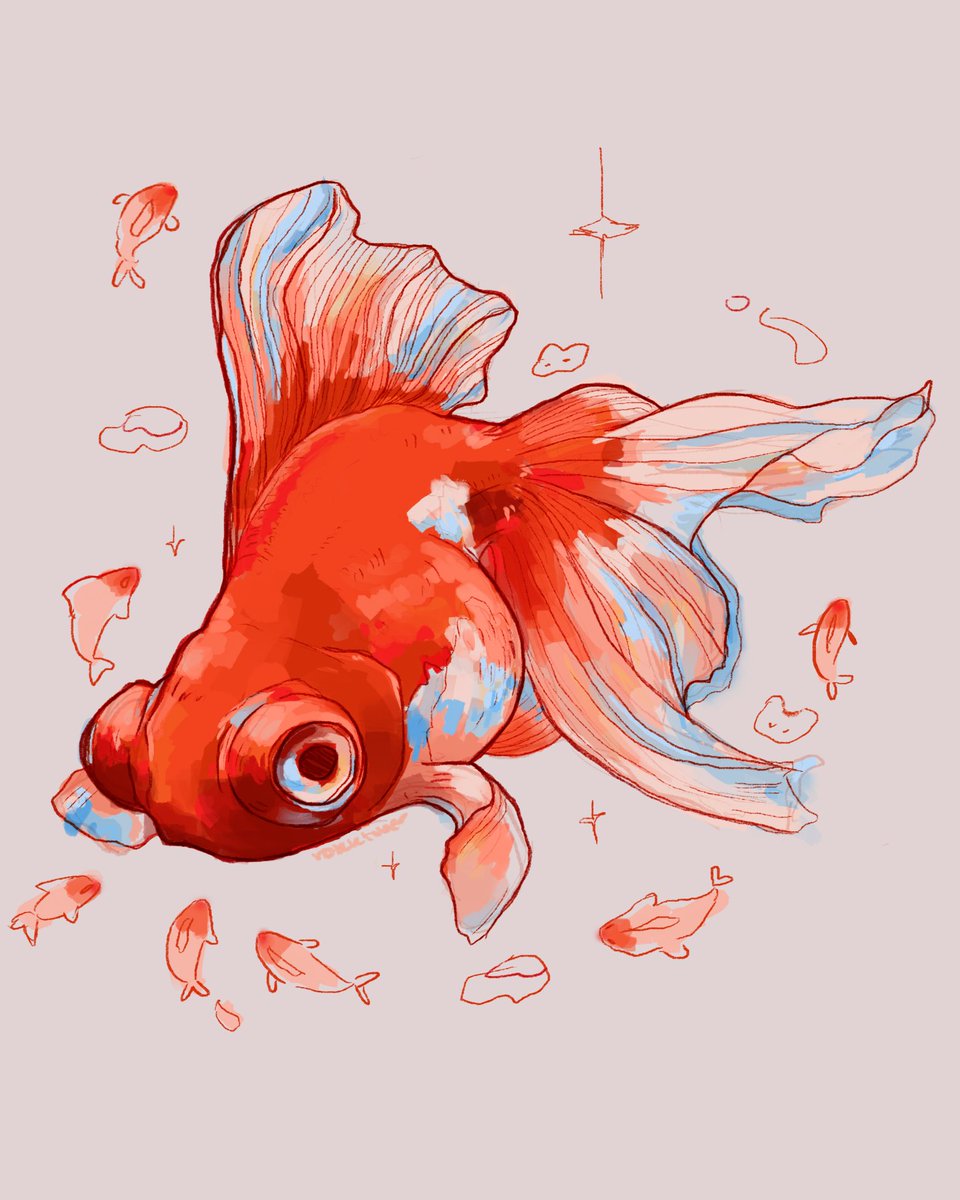 goldfish ✨🫧