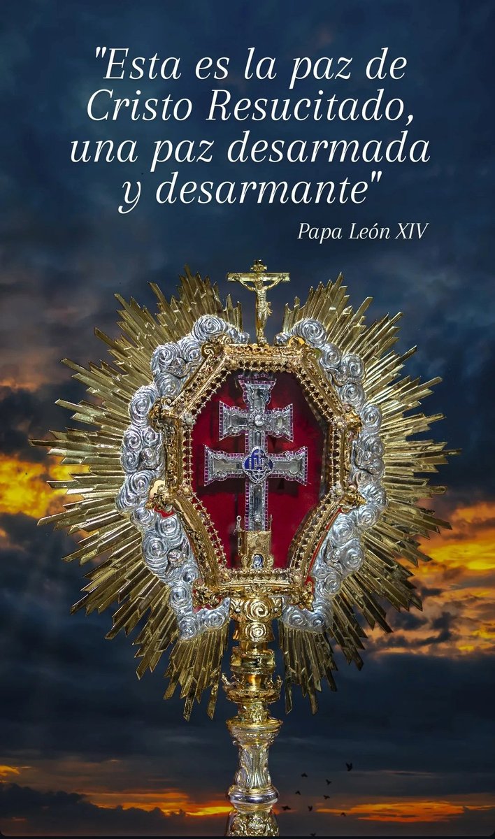 CruzdeCaravaca_'s tweet image. 🙏🏼"Construyamos puentes, con el diálogo, con el encuentro, uniéndonos todos para ser un solo pueblo, siempre en paz".
Papa León XIV