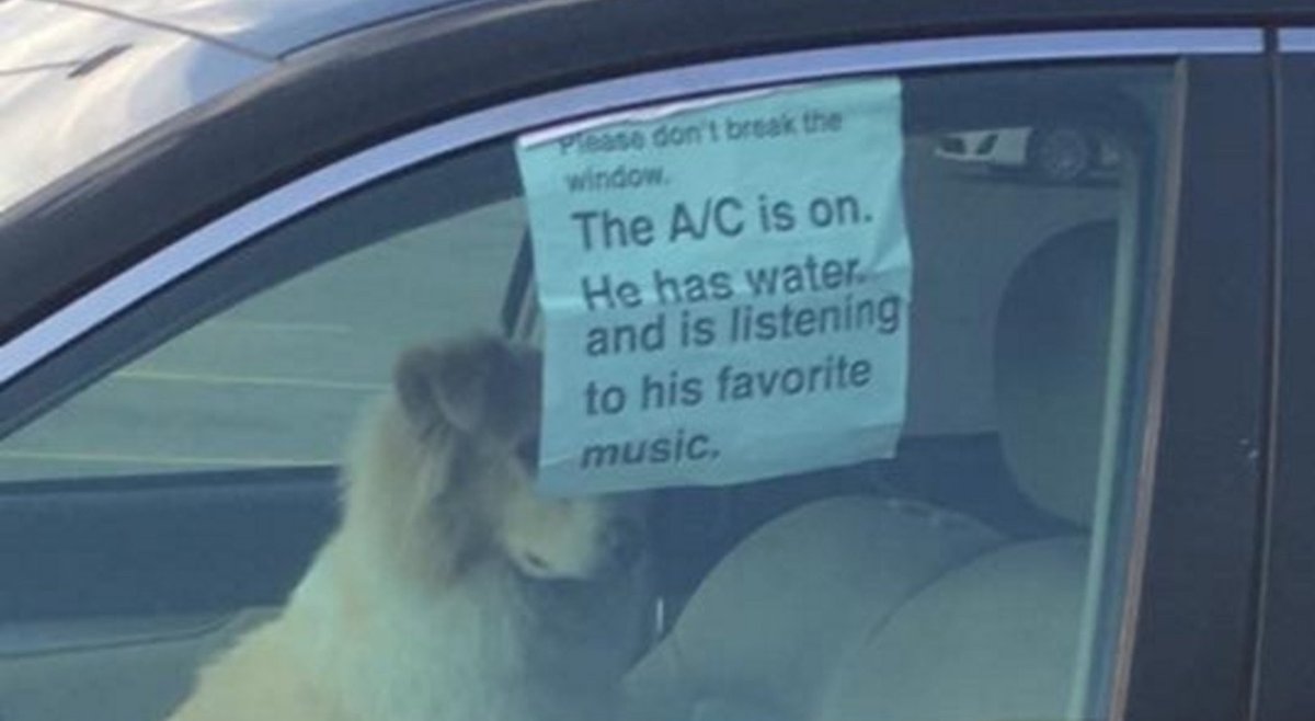 jooooonside's tweet image. me today