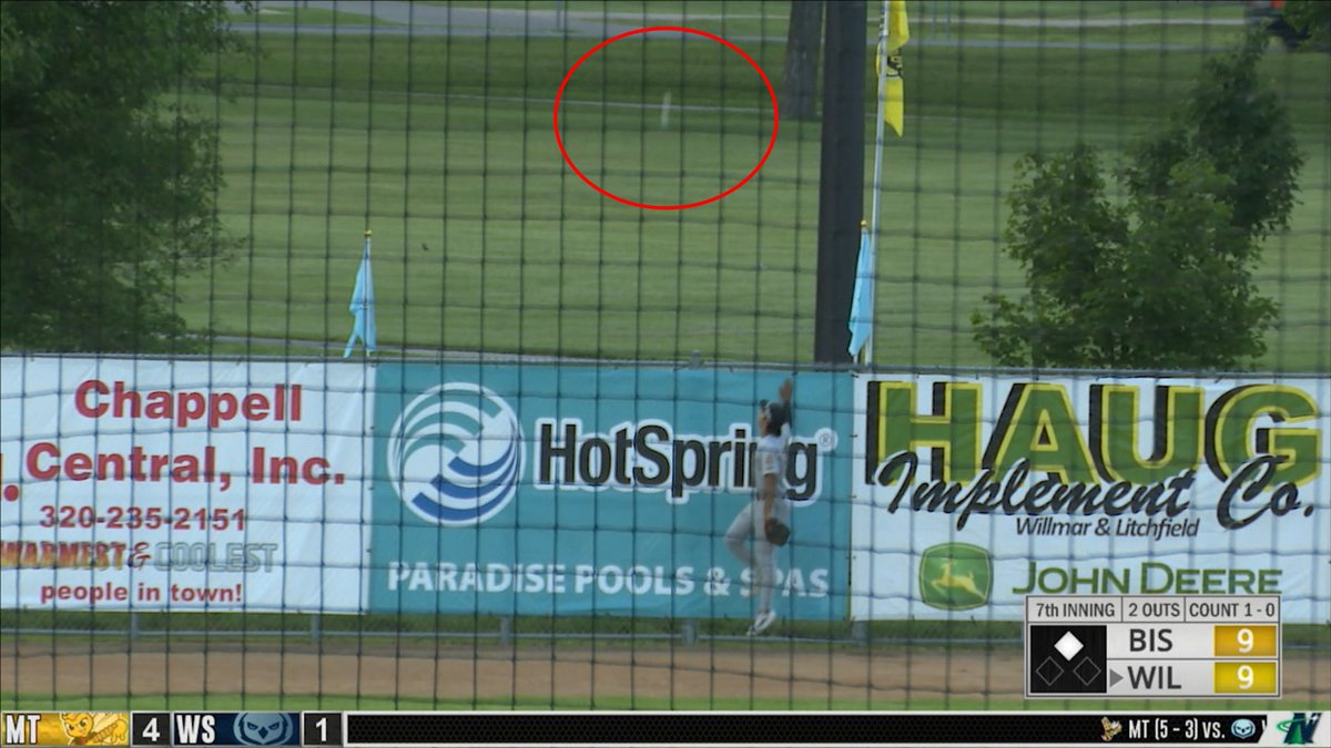 Willmar Stingers tweet media