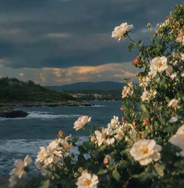 poetical photos. (@poeticalphotos) on Twitter photo 