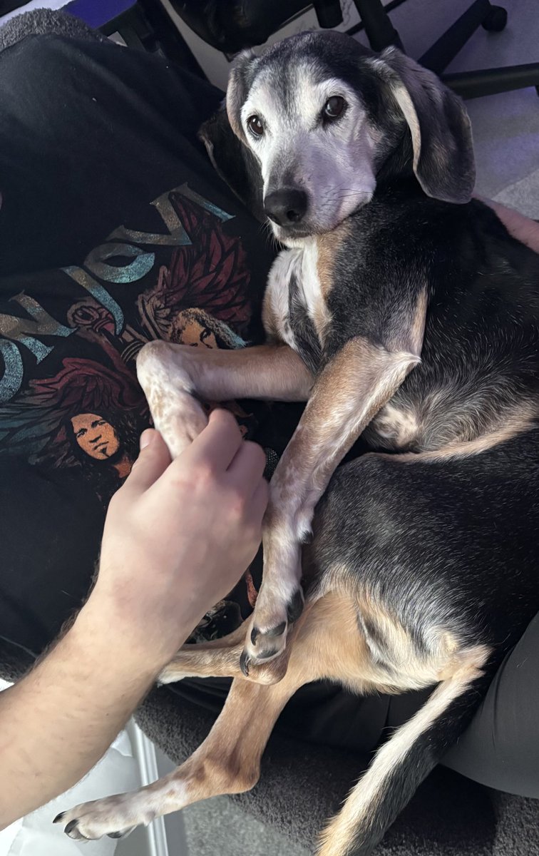 Jerry Braden tweet media