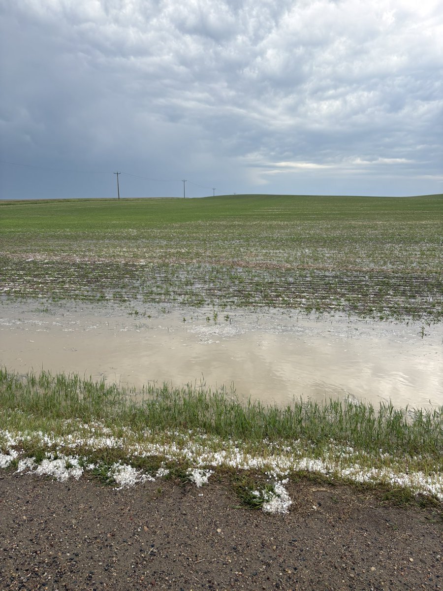 Joel Seime tweet media