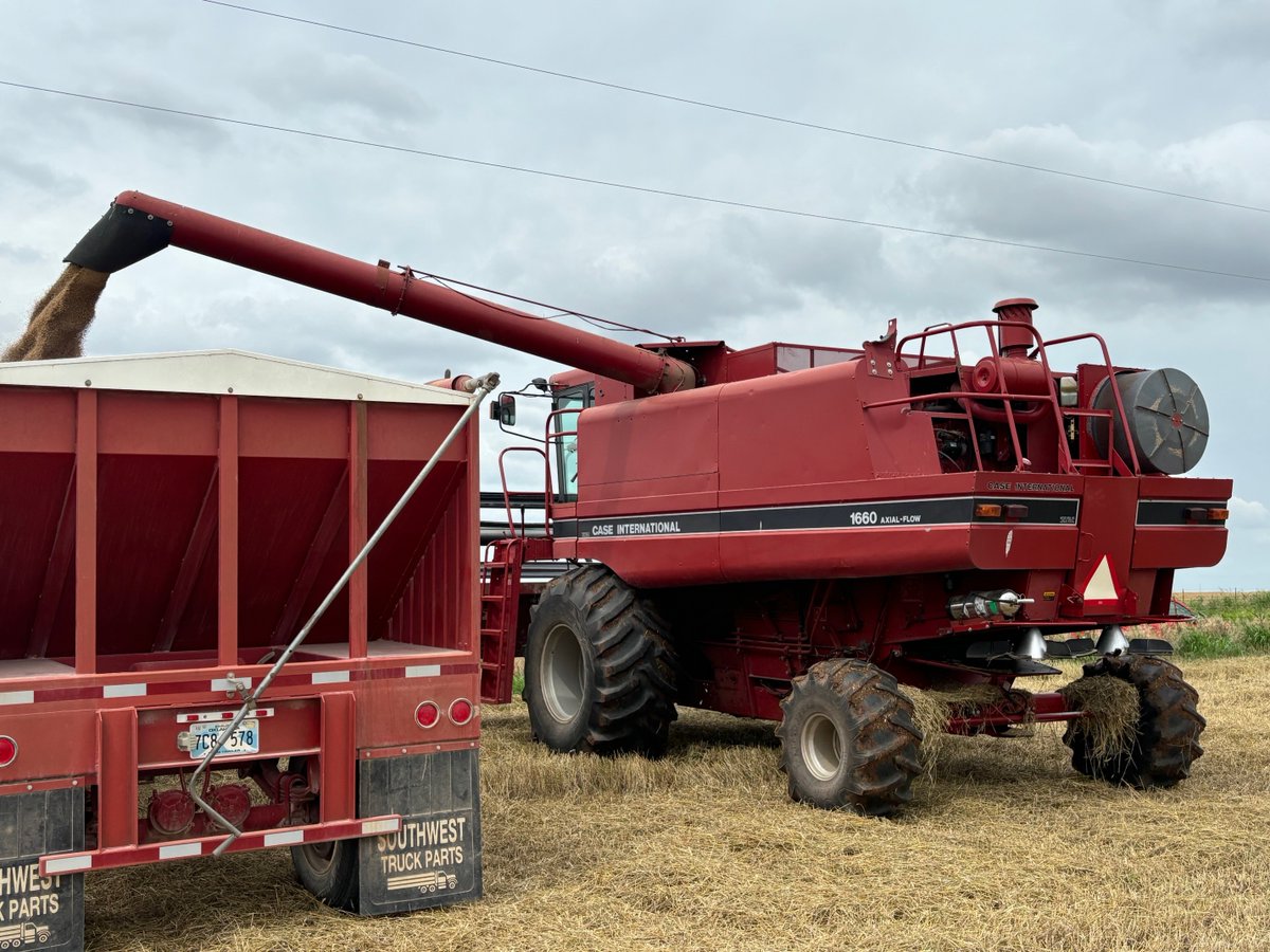 OSU_smallgrains's tweet image. OK wheat harvest made good progress over the weekend —now 37% complete. Muddy fields and rain dropped test weights, but the state average holds at 59 lb/bu. Yields mostly in the 30s–50s, with high-managed fields hitting 60–80.
#WheatHarvest25 OWC report: osuwheat.com