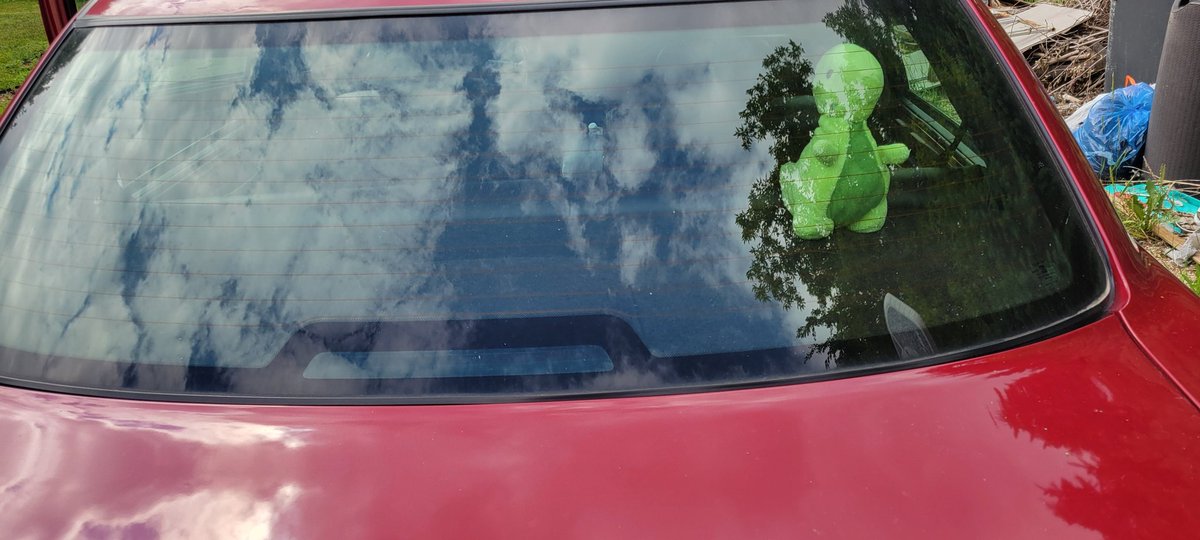 Son chillin on top of the trunk