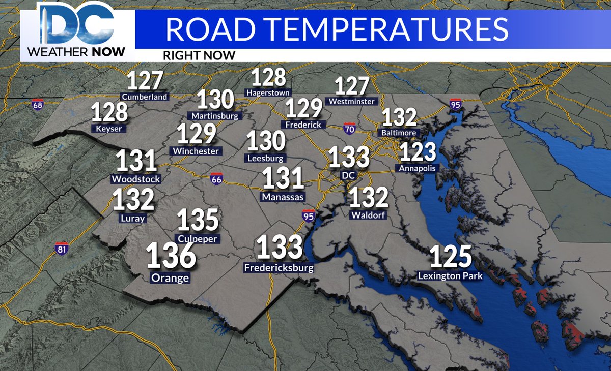 Please stop playing with your four-legged friends paws! This is what it feels like for them :(