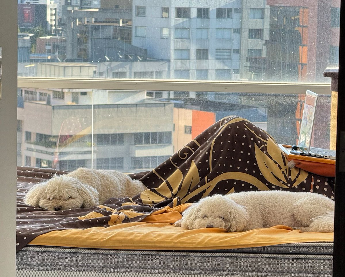 Aires de domingo 💚